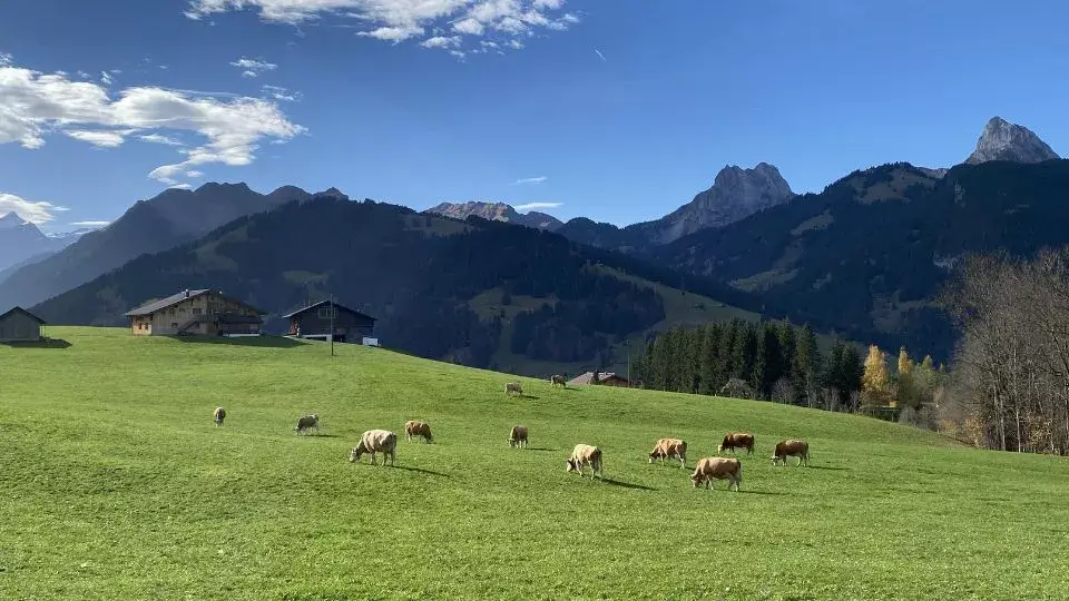 נוף של אחו באפנצל שוויץ